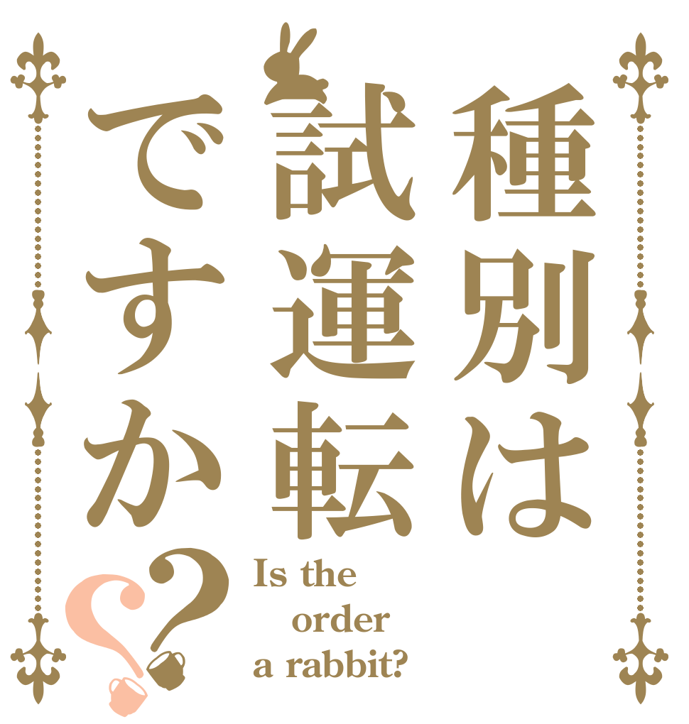 種別は試運転ですか？？ Is the order a rabbit?