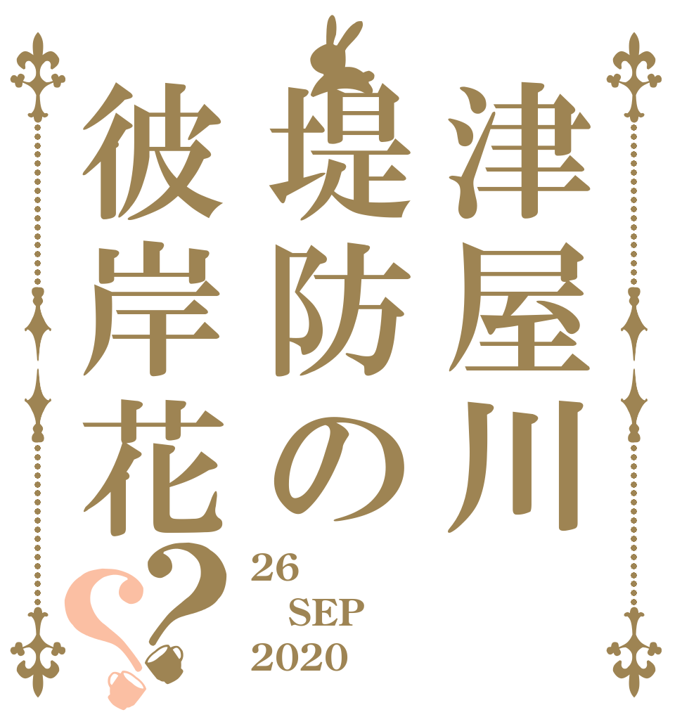 津屋川堤防の彼岸花？？ 26 SEP 2020