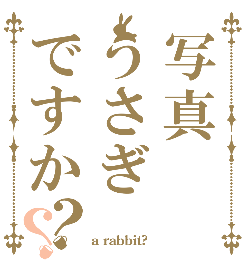 写真うさぎですか？？ マダムグレイス 熊　本 a rabbit?
