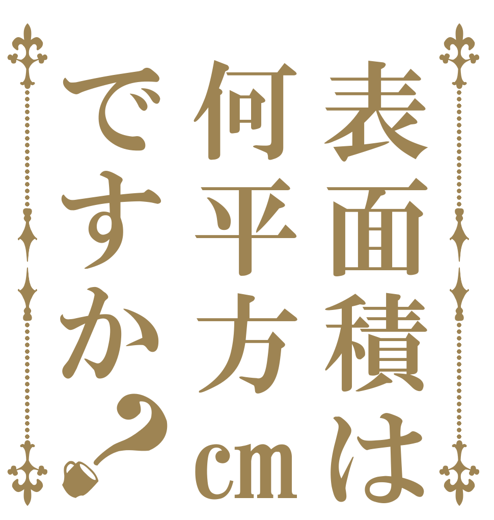 表面積は何平方㎝ですか？      
