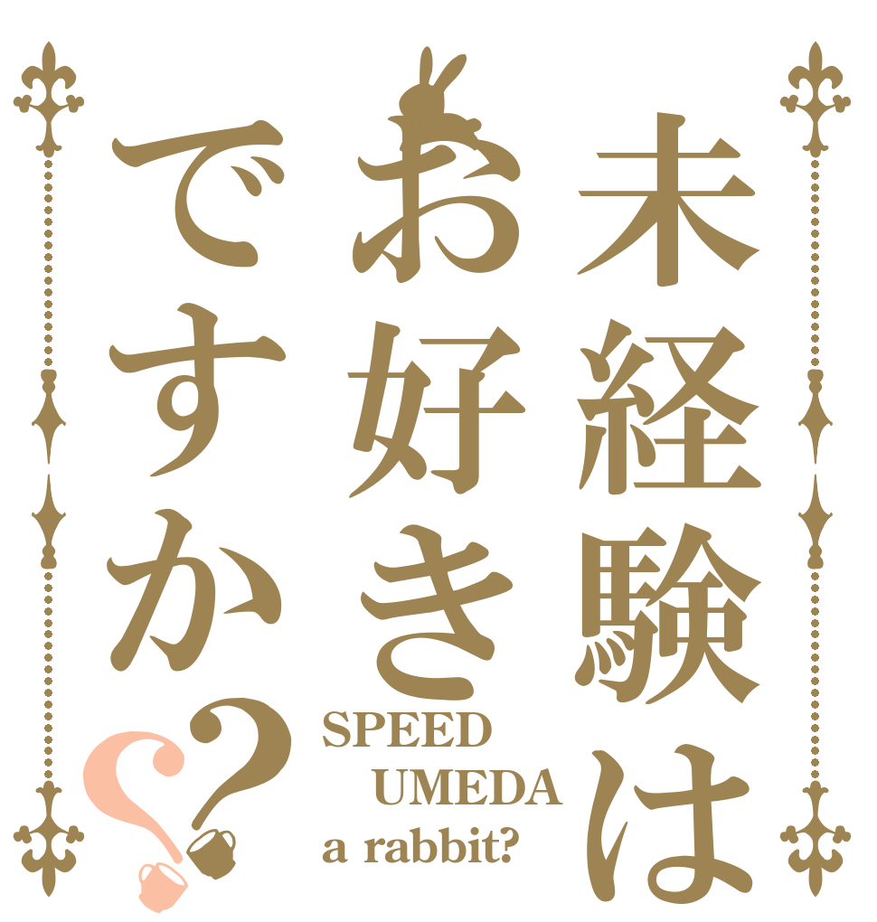 未経験はお好きですか？？ SPEED UMEDA a rabbit?