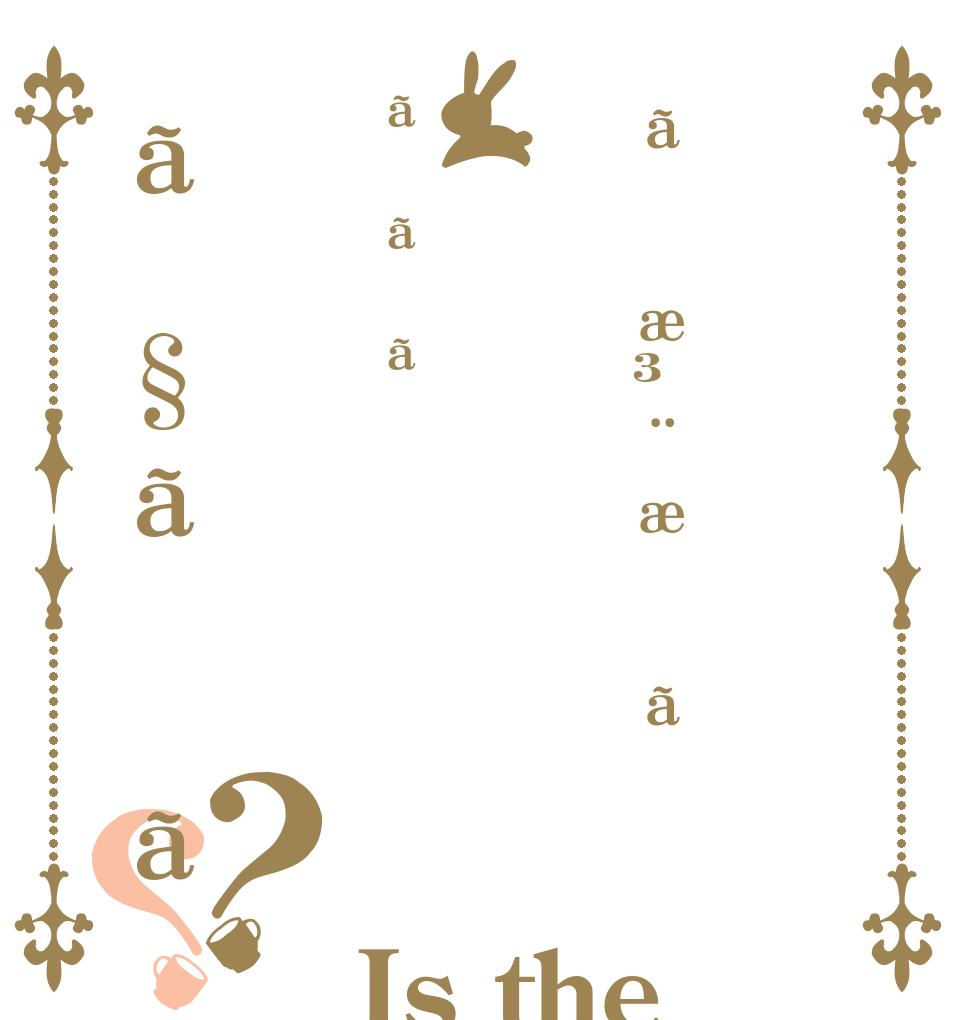 ãæ³¨æããããã§ãã？？ Is the order a rabbit?