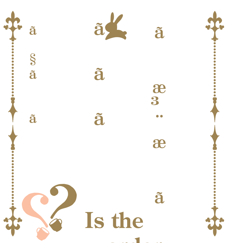 ãæ³¨æããããã§ãã？？ Is the order a rabbit?