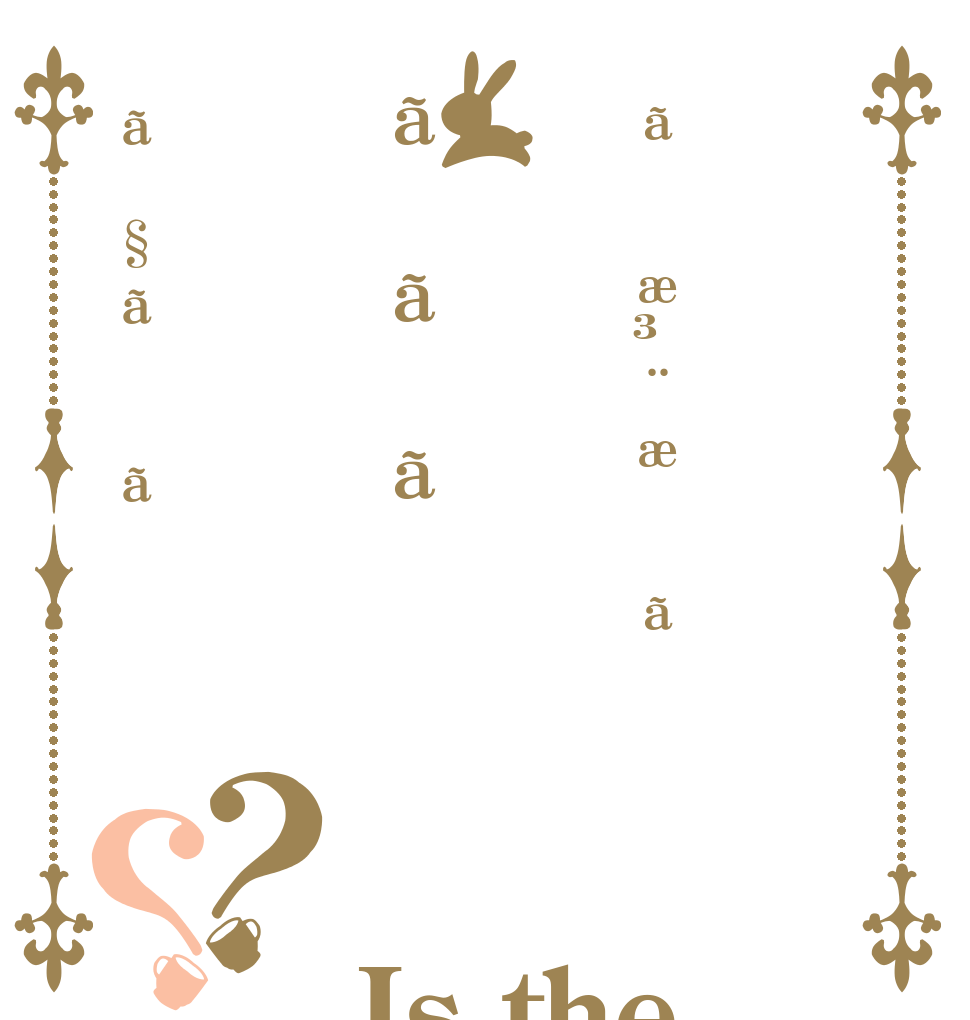 ãæ³¨æããããã§ãã？？ Is the order a rabbit?