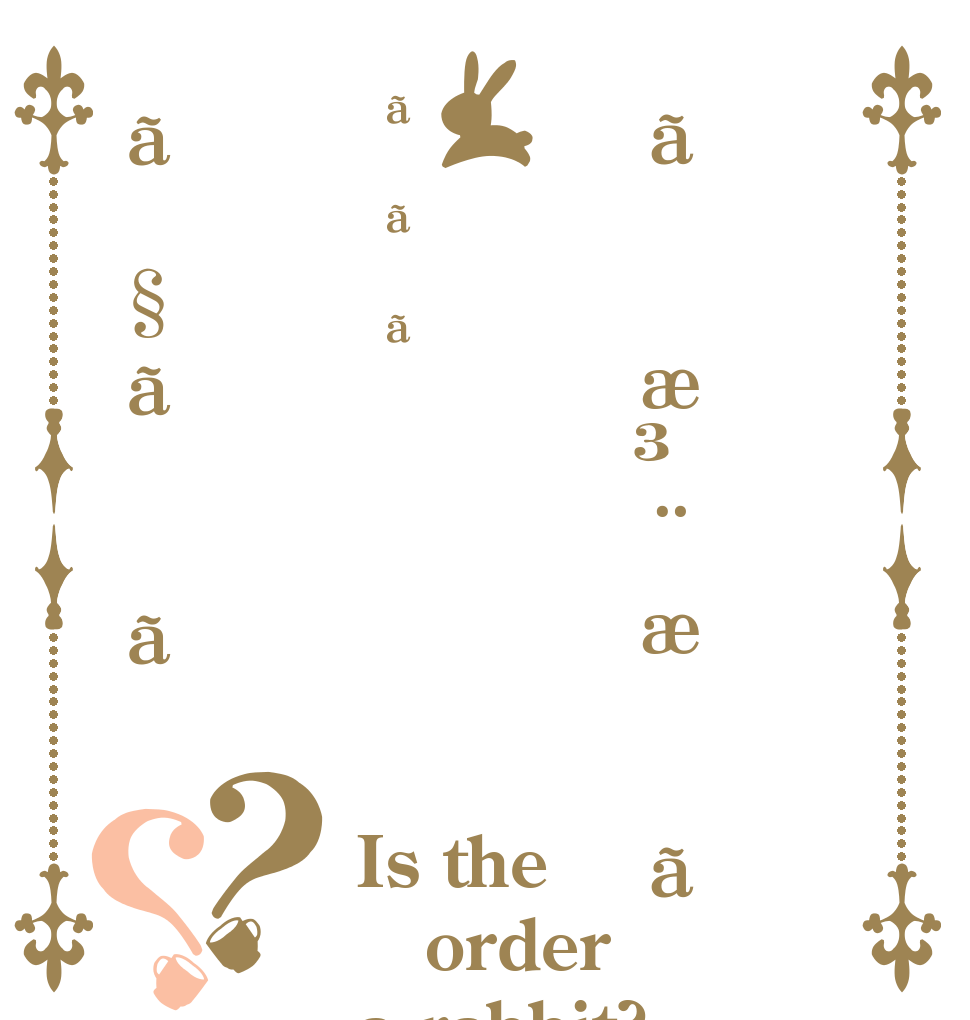 ãæ³¨æããããã§ãã？？ Is the order a rabbit?