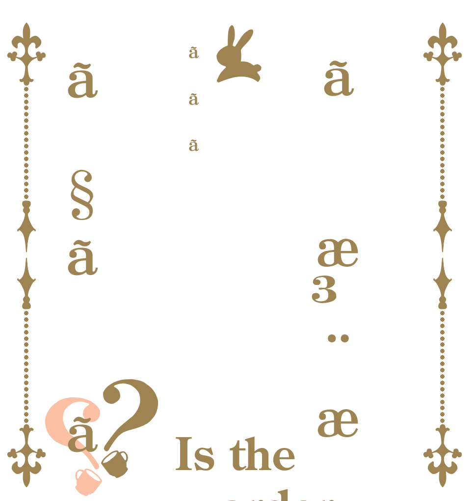 ãæ³¨æããããã§ãã？？ Is the order a rabbit?