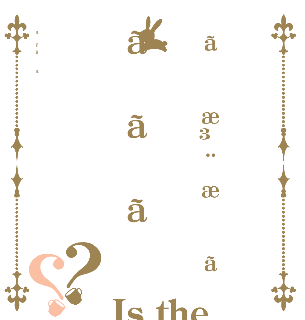 ãæ³¨æããããã§ãã？？ Is the order a rabbit?