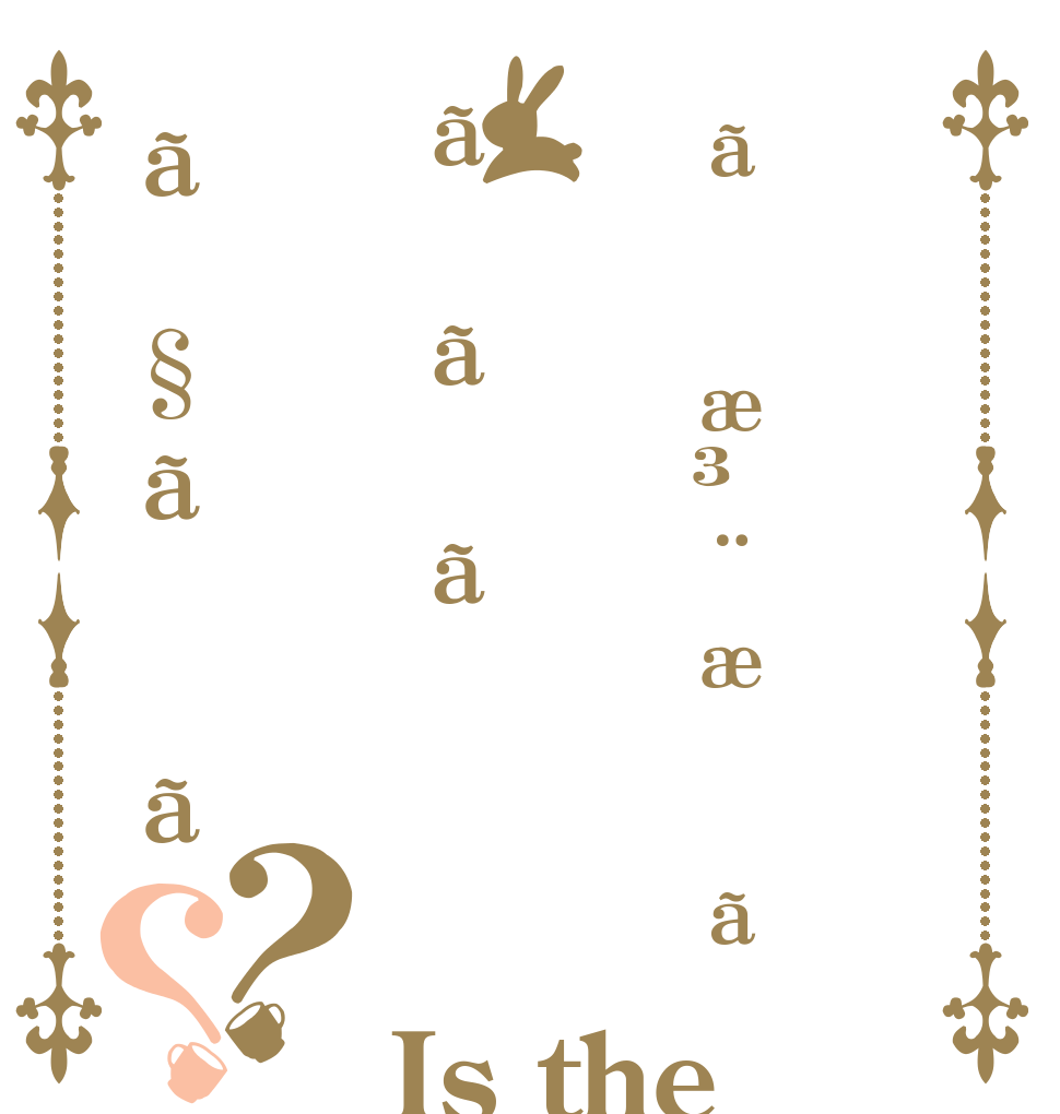 ãæ³¨æããããã§ãã？？ Is the order a rabbit?
