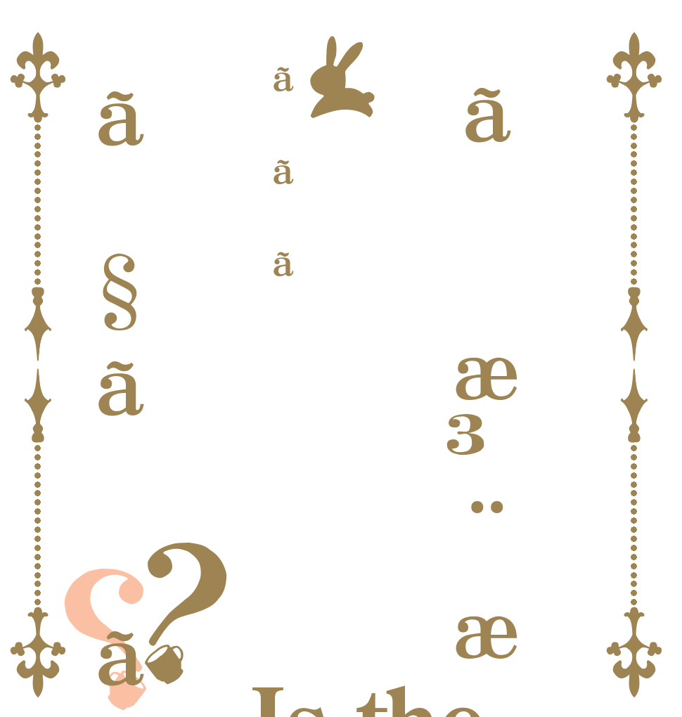 ãæ³¨æããããã§ãã？？ Is the order a rabbit?