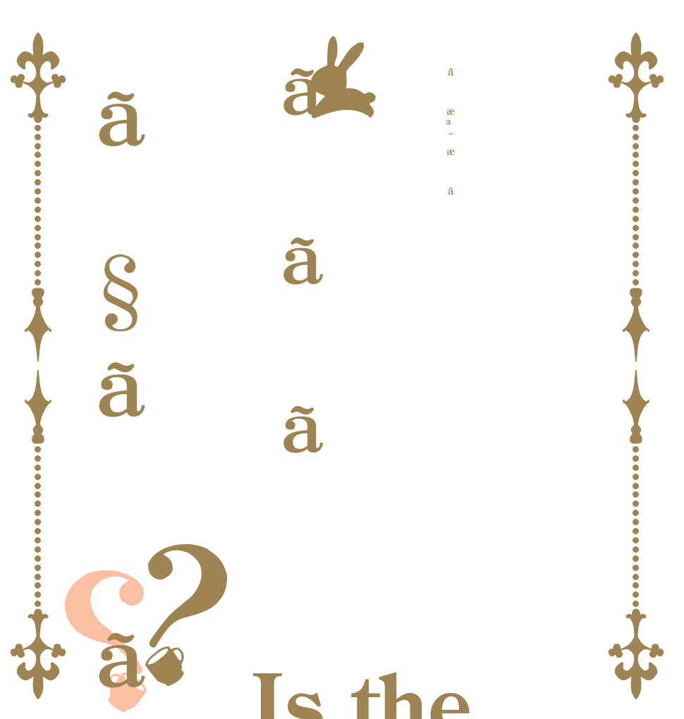 ãæ³¨æããããã§ãã？？ Is the order a rabbit?