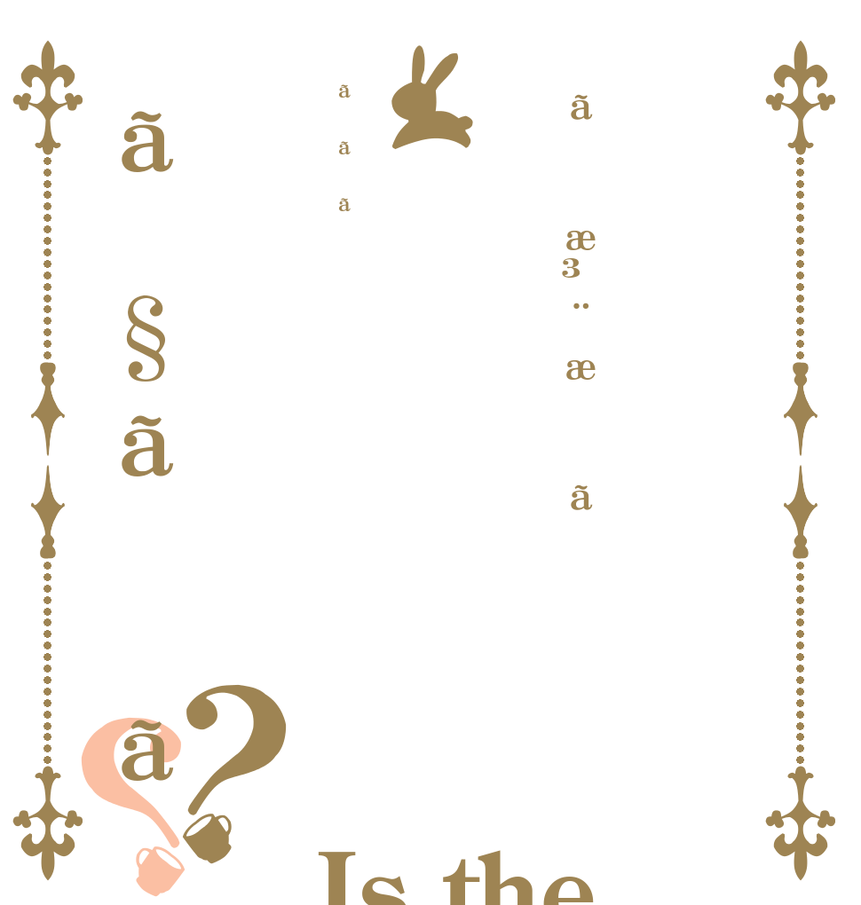 ãæ³¨æããããã§ãã？？ Is the order a rabbit?