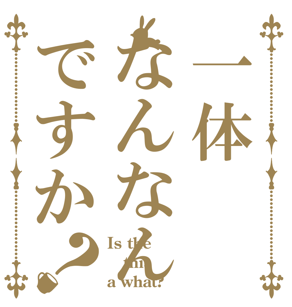 一体なんなんですか？ Is the this a what?