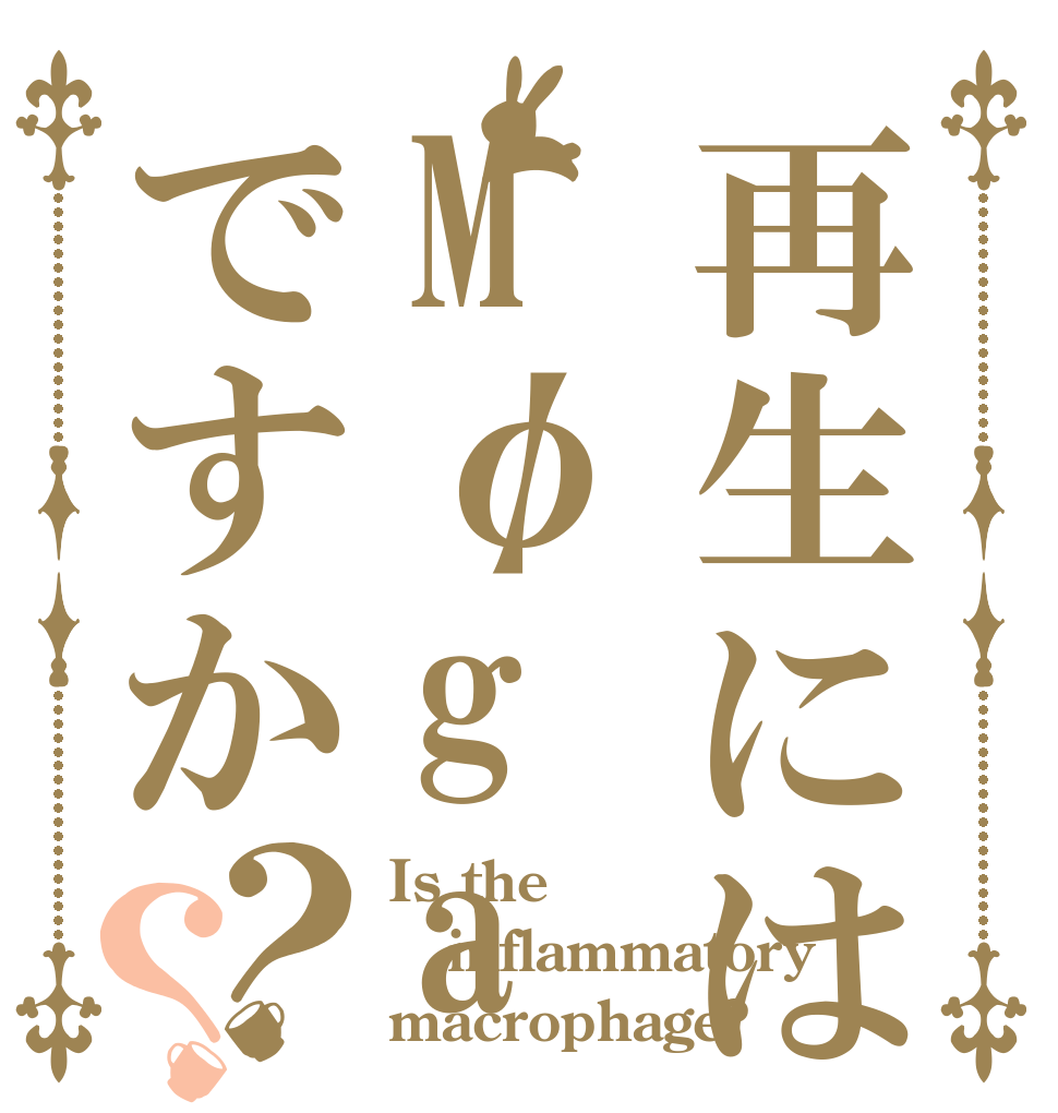 再生にはMφgaですか？？ Is the inflammatory macrophage?