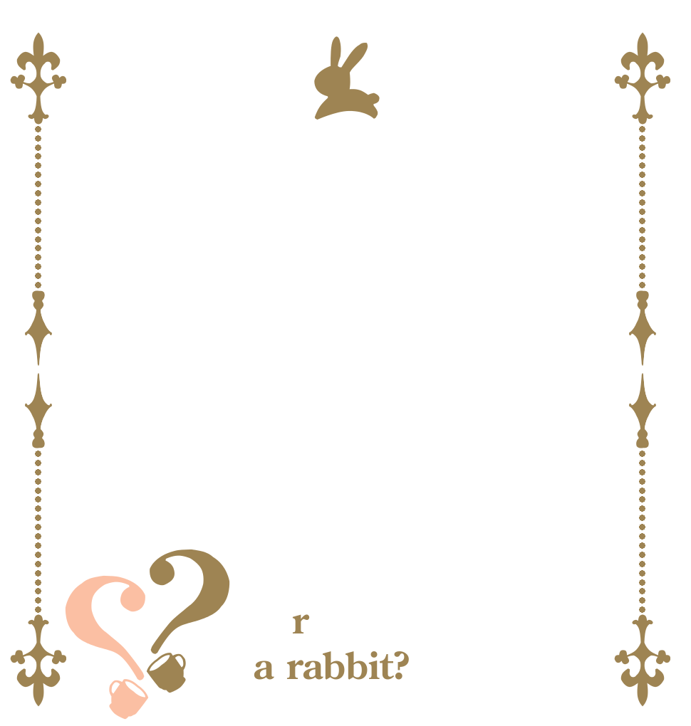 ？？  r a rabbit?