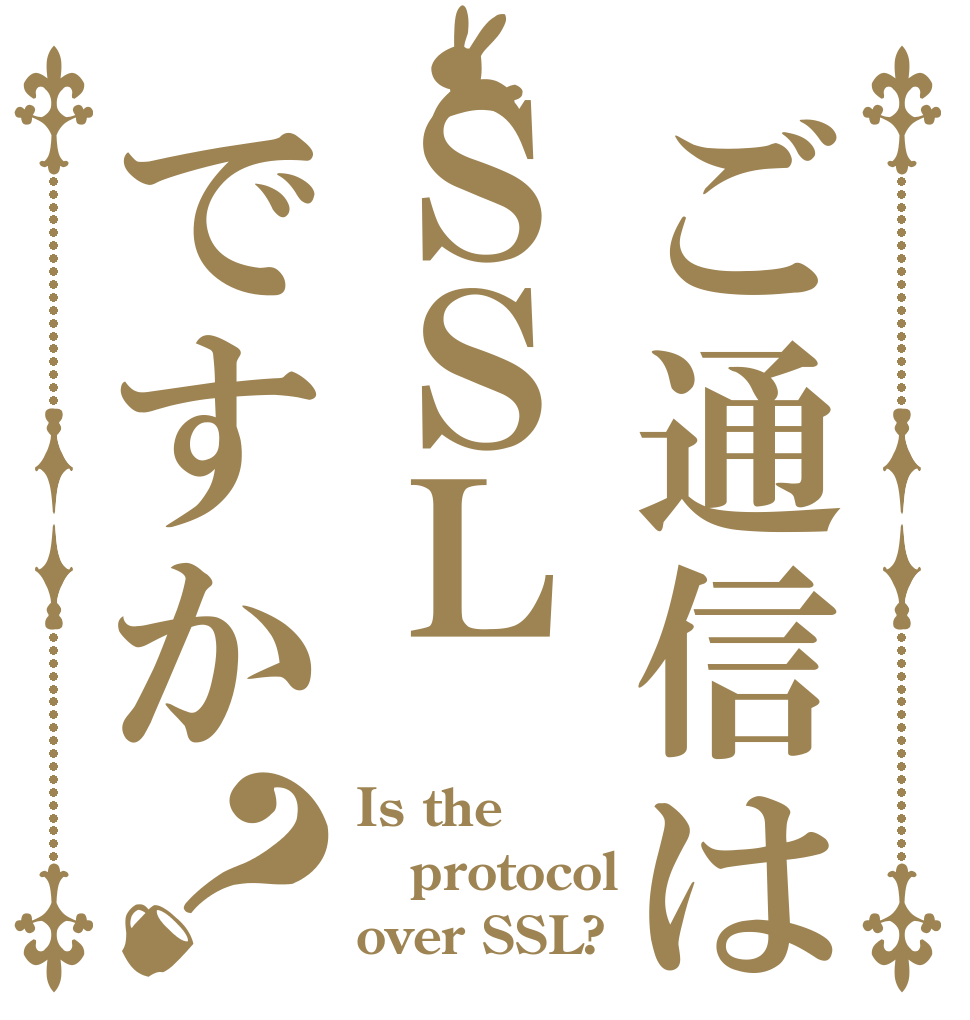 ご通信はＳＳＬですか？ Is the protocol over SSL?
