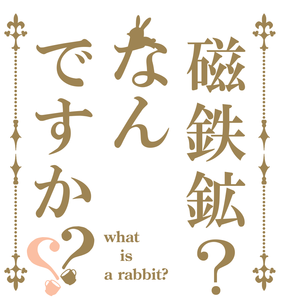 磁鉄鉱？なんですか？？ what is a rabbit?