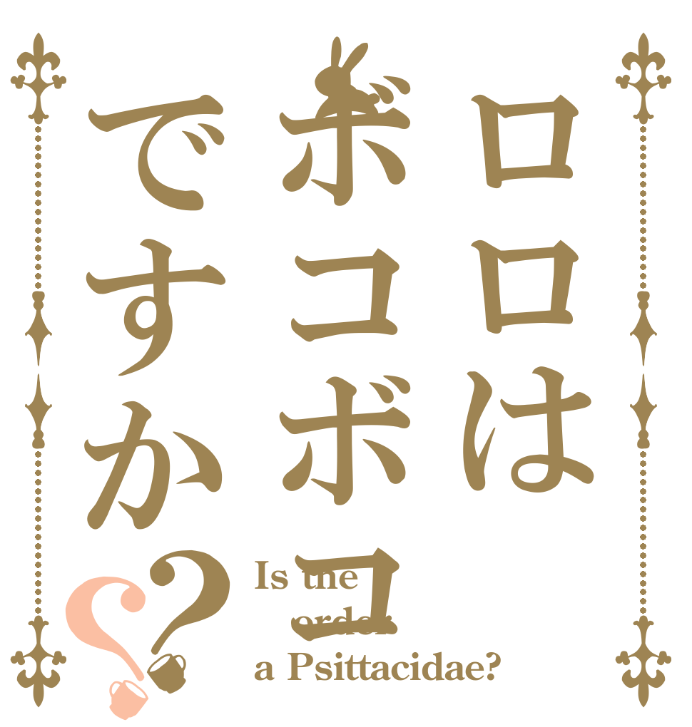 ロロはボコボコですか？？ Is the order a Psittacidae?