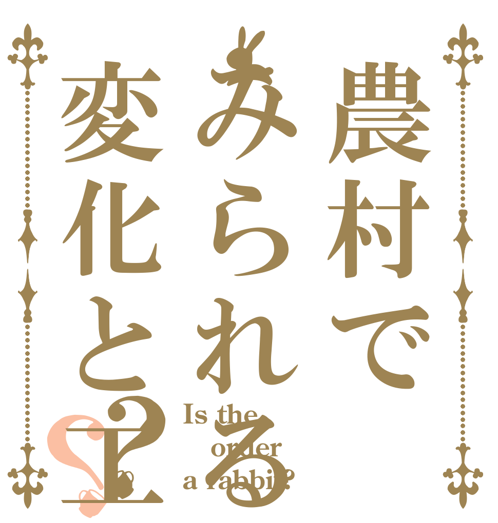農村でみられる問題点と変化と工夫？？ Is the order a rabbit?