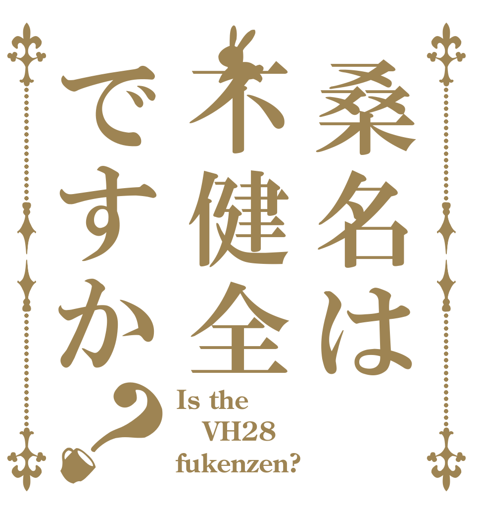 桑名は不健全ですか？ Is the VH28 fukenzen?
